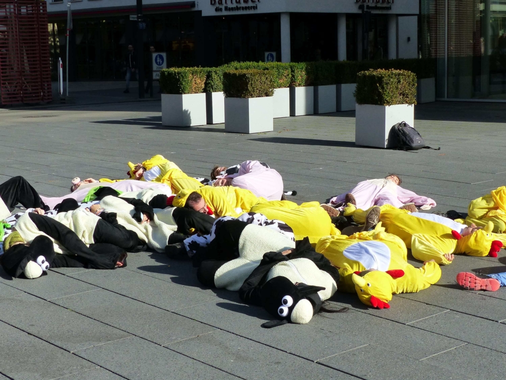 Die-In bei der Straßenaktion in der Ulmer Innenstadt